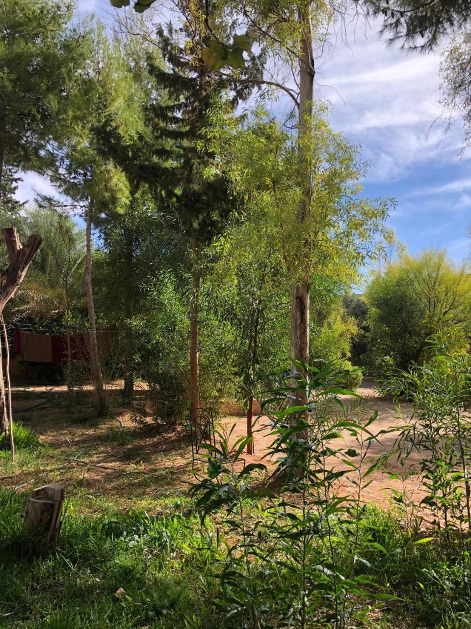 Hotel Camping Le Soleil Tinghir Bagian luar foto